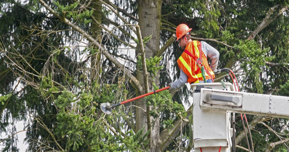 Electrical Safety Tips for Monsoon