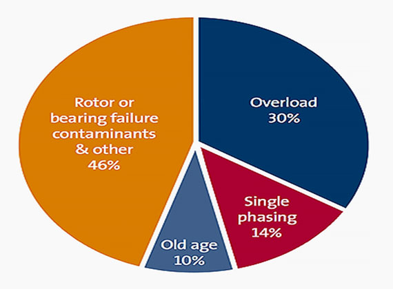 Motor Maintenance to Avoid Failure